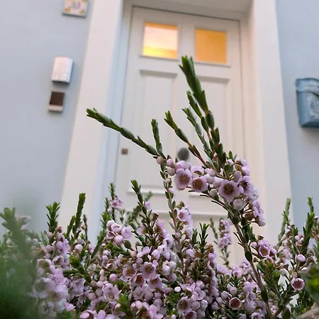 Apartment Casa D'amore